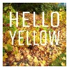 Hello yellow.
