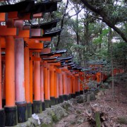 Fushimi Inari-taisha.