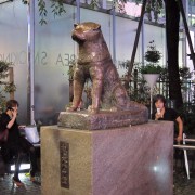 Hachiko the loyal dog at Shibuya.