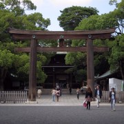 A torii leading to Meiji-jingu (a shrine).