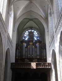 The organ.