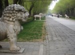 Animal statues (dating to 1540) line the Spirit Way.