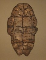 An oracle bone from the Shang dynasty (a turtle plastron).