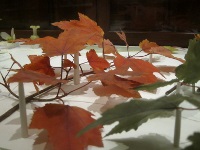 Glass leaves.