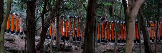 Fushimi Inari-taisha (a shrine).