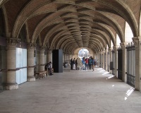 The university library.