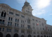 The city hall