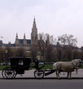 A carriage and a view of the Rathaus